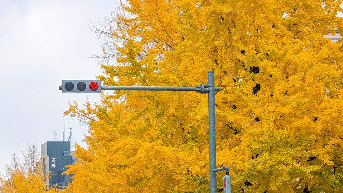 11月のモノづくり