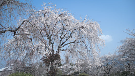 3月のモノづくり